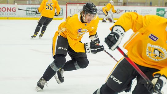 Undrafted free agent Williams earns training camp spot: 'He's someone we like' taken in Cranberry, Pa. (Penguins)